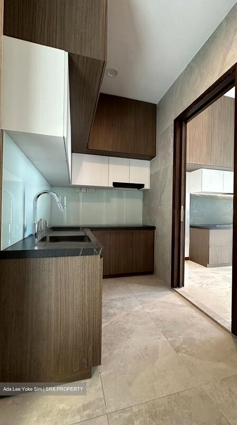 Cayman Residences (D15), Terrace #452888791